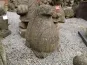 morepic-1
